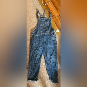 American Eagle Overalls